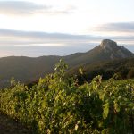 Domaine Le Soula : prenez de l’altitude avec ces pépites catalanes