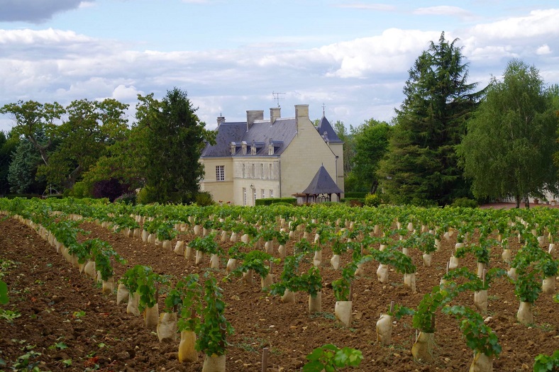 Chateau de Villeneuve Saumur iDealwine