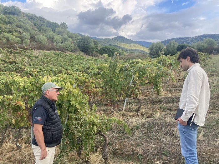 Jean-Charles Abbatucci vigneron