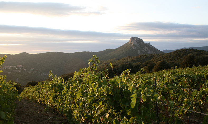 Le Soula-côtes-catalanes