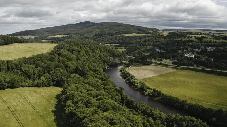 The Macallan distillerie iDealwine whisky Ecosse Scotland