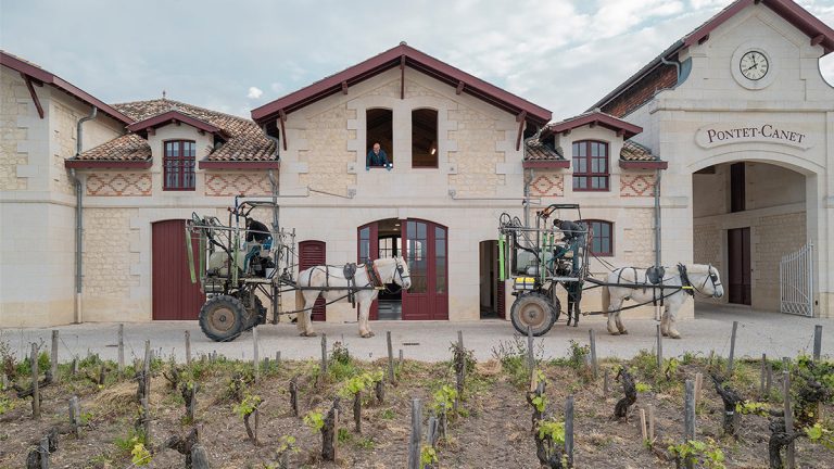 Lire la suite à propos de l’article Château Pontet-Canet : chef d’œuvre biodynamique de Pauillac