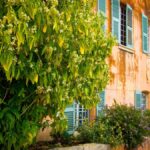 Château Pradeaux | De grands vins de garde au cœur de la Provence