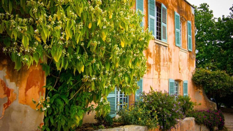 Lire la suite à propos de l’article Château Pradeaux | De grands vins de garde au cœur de la Provence