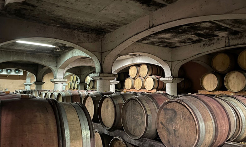 rhone-chateauneuf-du-pape-Charvin-Janasse