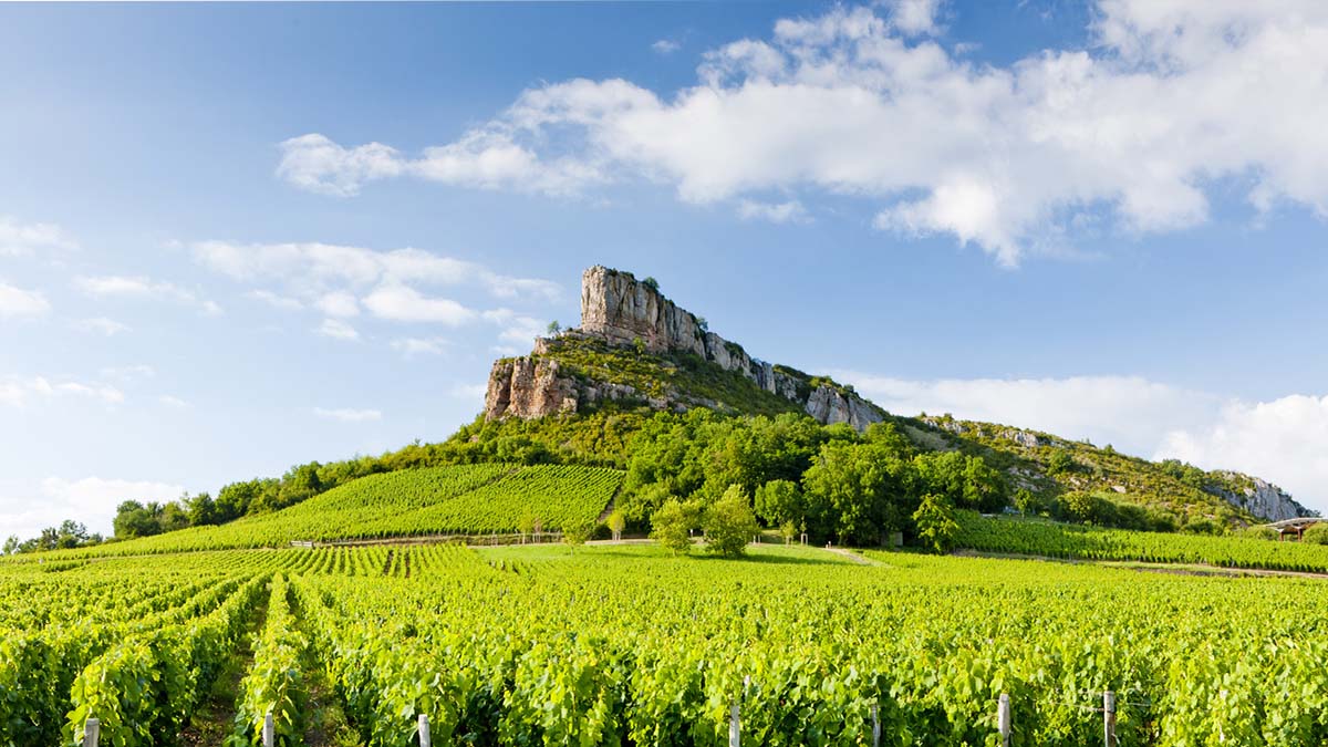 Lire la suite à propos de l’article Beaujolais, Mâconnais, Côte Chalonnaise : déferlante de pépites