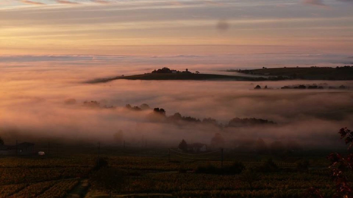 Lire la suite à propos de l’article Château Thivin : au sommet de Brouilly