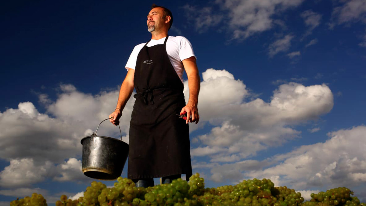 Lire la suite à propos de l’article Domaine Bruno Colin ou la quintessence du chardonnay bourguignon