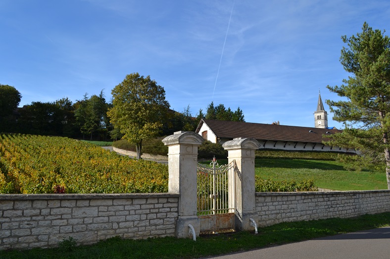 Le domaine Jacqueson à Rully