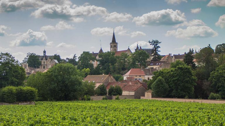 Lire la suite à propos de l’article Tout savoir sur la Côte Chalonnaise – Partie 1