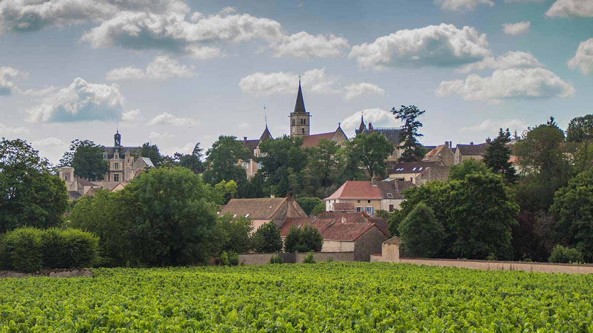 Lire la suite à propos de l’article Tout savoir sur la Côte Chalonnaise : ses terroirs, Rully et Bouzeron (Partie 1)