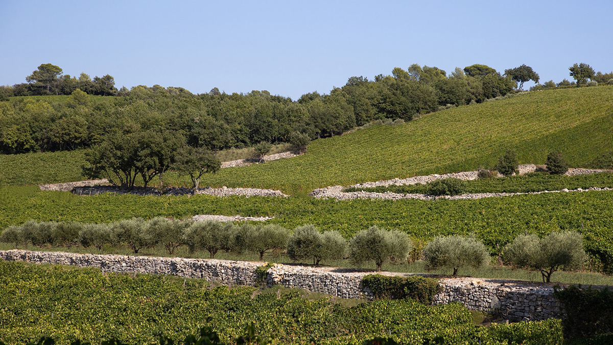 Lire la suite à propos de l’article Château La Mascaronne, amphithéâtre naturel provençal