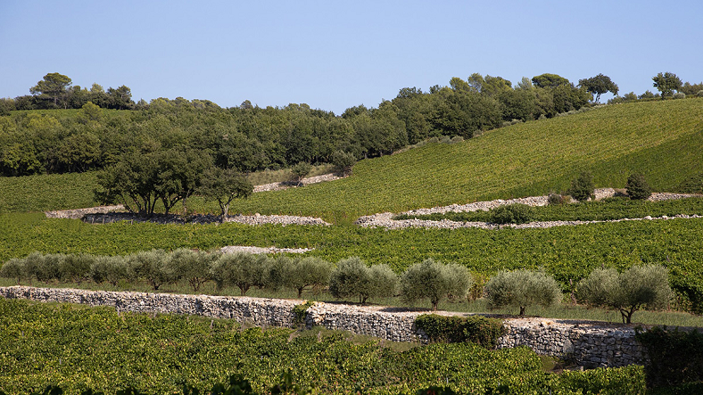 Château La Mascaronne Provence