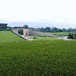 Opus One, le meilleur de deux mondes