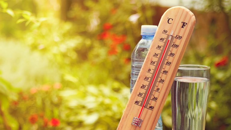 Lire la suite à propos de l’article Que déguste l’équipe iDealwine en période de canicule ?