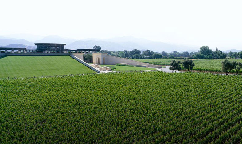 Opus one vin