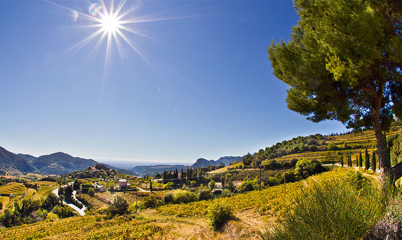 la-ferme-saint-martin