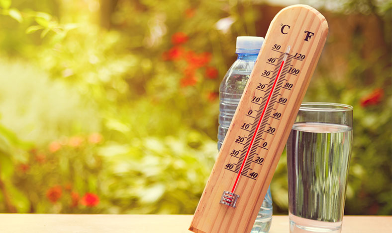 canicule-équipe-sélection
