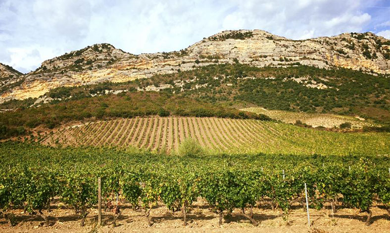 antoine-arena-patrimonio