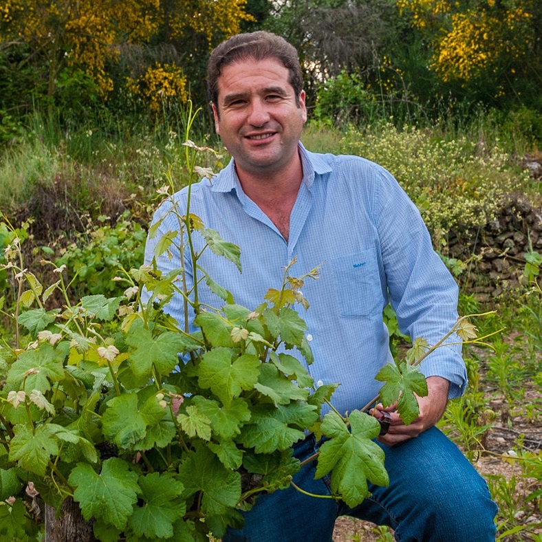 Alberto Orte : L'Orfèvre espagnol iDealwine