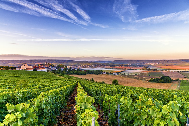 Palmarès Champagne Les plus belles enchères iDealwine du 1er semestre 2022