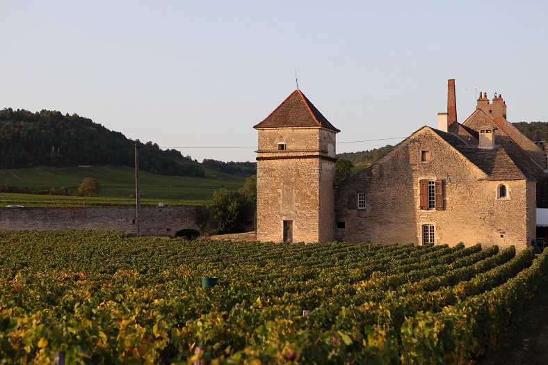 Clos du Moulin aux Moines