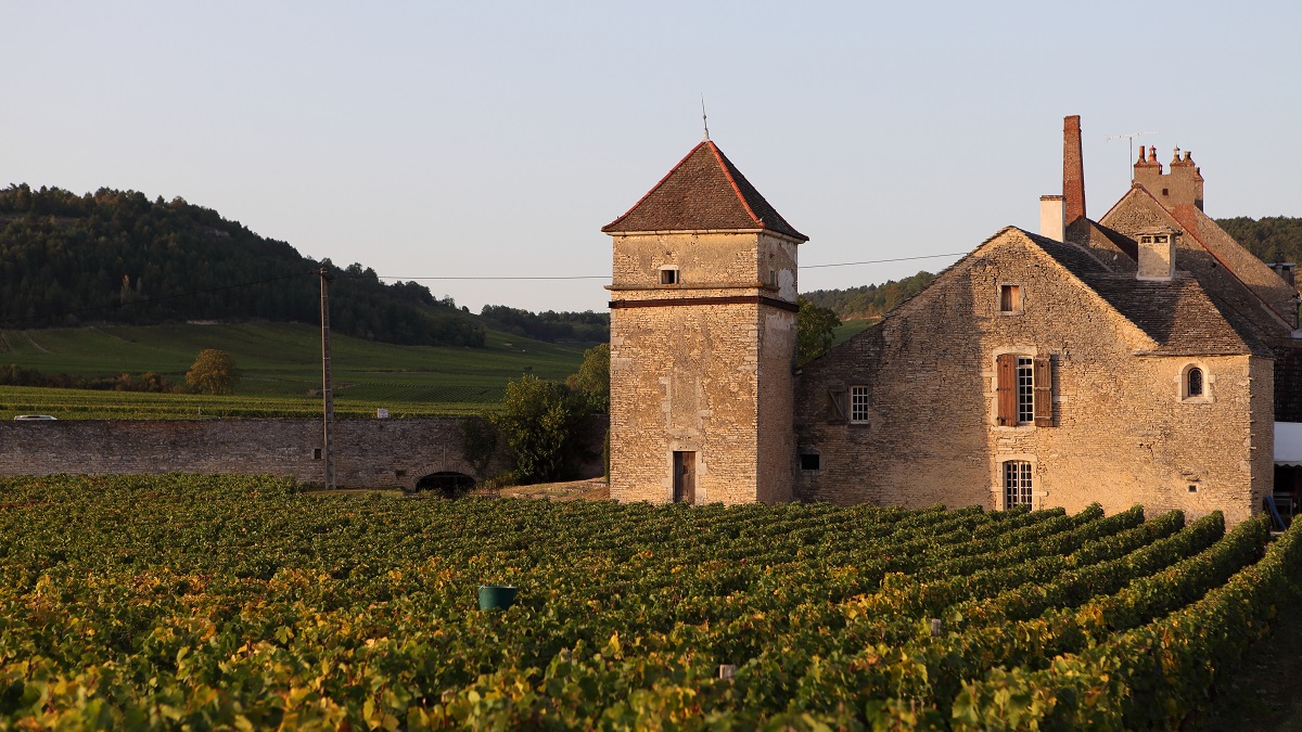 Lire la suite à propos de l’article Clos du Moulin aux Moines : monopoles en Bourgogne