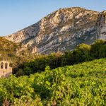 Le domaine Gauby, pionnier des grands vins du Roussillon