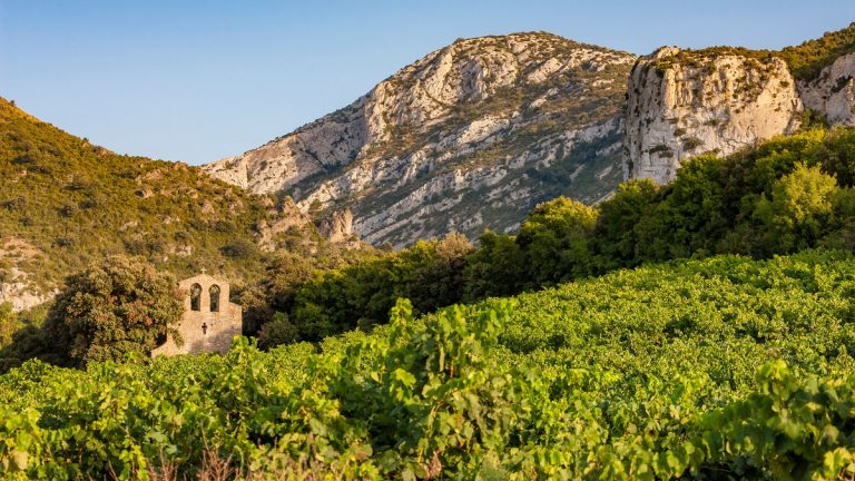 Lire la suite à propos de l’article Le domaine Gauby, pionnier des grands vins du Roussillon