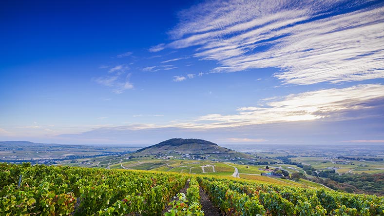 Palmarès Beaujolais Les plus belles enchères iDealwine du 1er semestre 2022