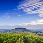 Palmarès Beaujolais | Les plus belles enchères du 1er semestre 2022