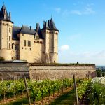 Récit de visites en Saumurois (2/2): Domaine des Roches Neuves et Château Yvonne