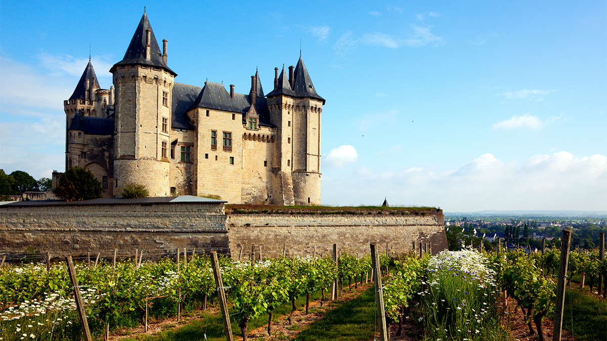 Lire la suite à propos de l’article Récit de visites en Saumurois (2/2): Domaine des Roches Neuves et Château Yvonne