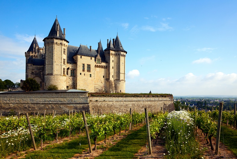 Visites iDealwine domaine viticole Saumur