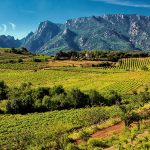 Palmarès Languedoc-Roussillon | Les plus belles enchères du 1er semestre 2022