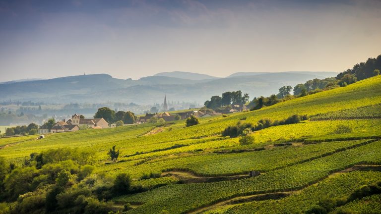 Lire la suite à propos de l’article Meursault pour patrimoine au domaine Bernard Millot