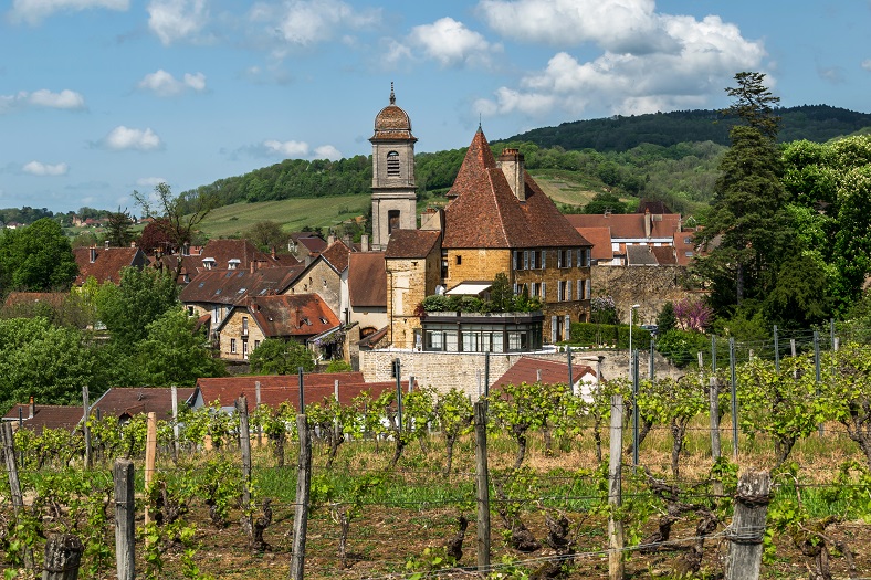 Palmarès Jura - Savoie iDealwine Les plus belles enchères du 1er semestre 2022