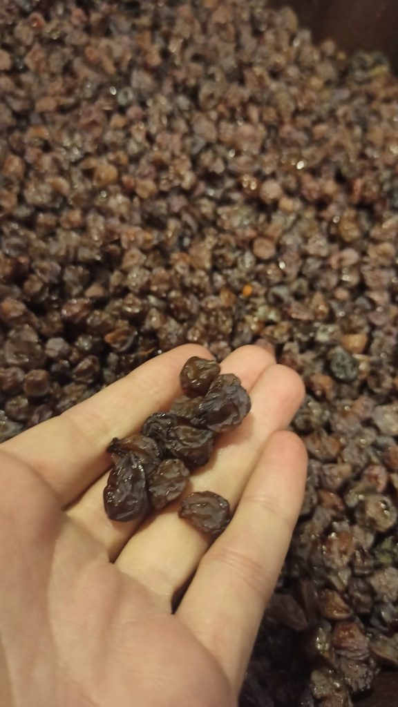 Visite chez Disznókö, au cœur du Tokay iDealwine grains aszú