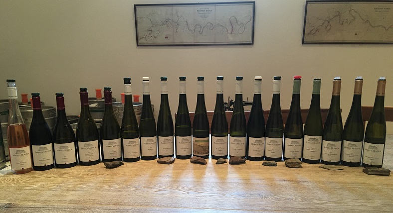 Visite au domaine Markus Molitor vin allemand iDealwine vins dégustés