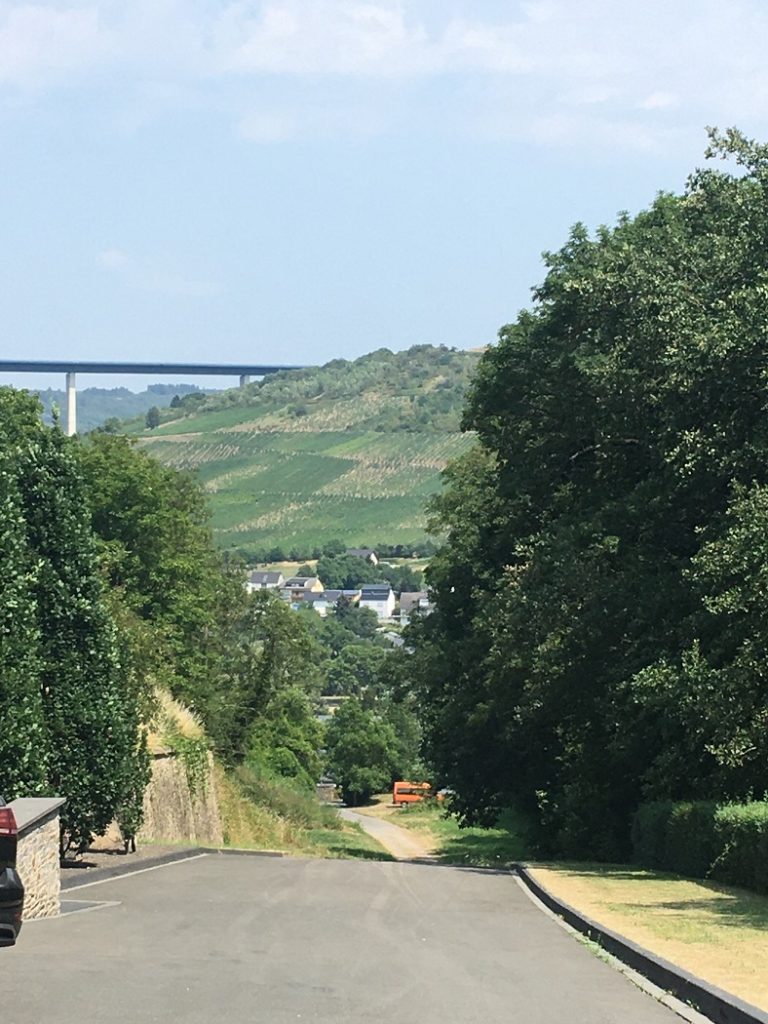 Visite au domaine Markus Molitor vin allemand iDealwine vue depuis le domaine