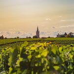 Comprendre le classement 2022 de Saint-Emilion, enfin dévoilé