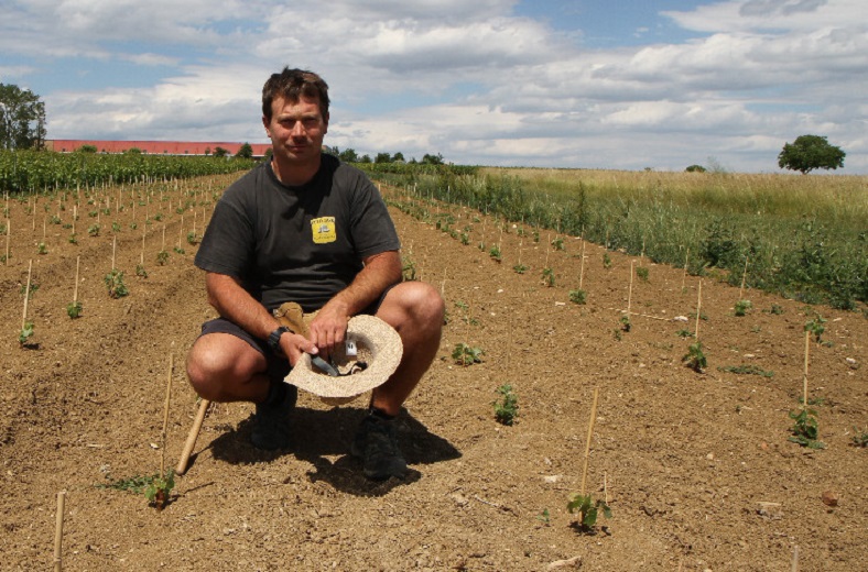 Expérimentation bouleversement encépagement des vignobles