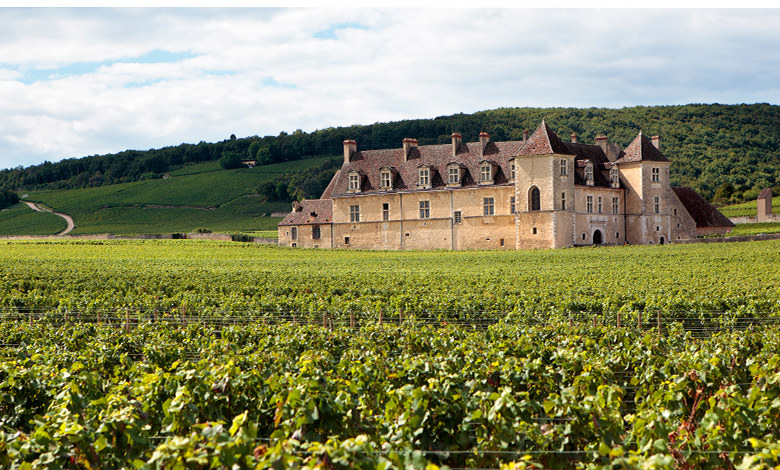 Les grands noms de Bourgogne iDealwine