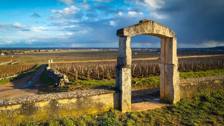 Lire la suite à propos de l’article Bourgogne | Que penser des vins produits par le négoce ?