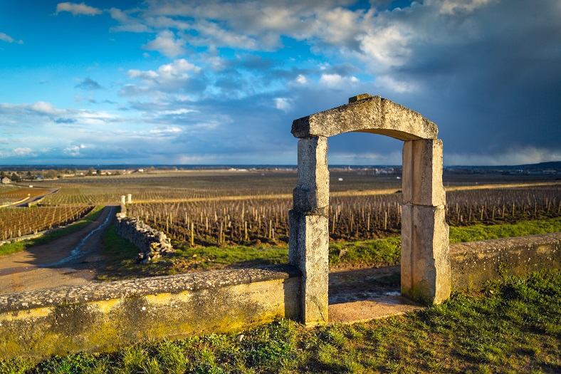 Bourgogne vin iDealwine Que penser des vins produits par le négoce ? 