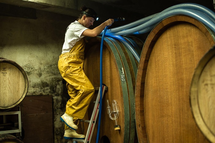 Domaine Valentin Zusslin Alsace iDealwine cave travail