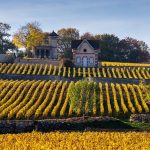 Bilan des vendanges 2022