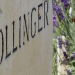 Les champagnes Bollinger | Une signature familiale mythique