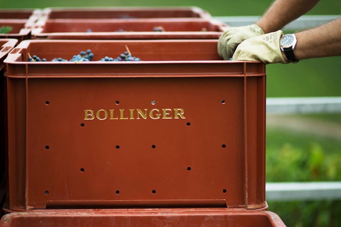 Bollinger iDealwine champagne raisin vignes