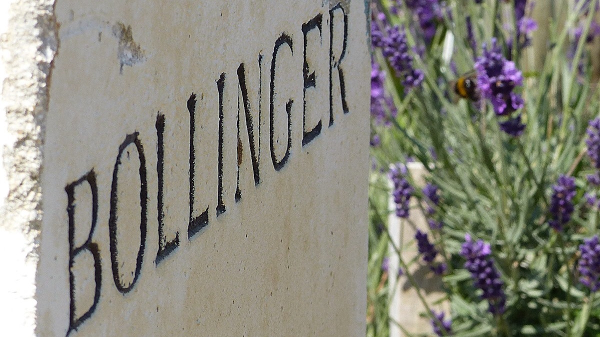 Lire la suite à propos de l’article Les champagnes Bollinger | Une signature familiale mythique